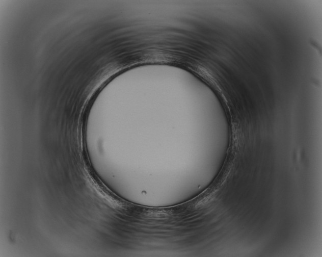 X0000100490843200807031914