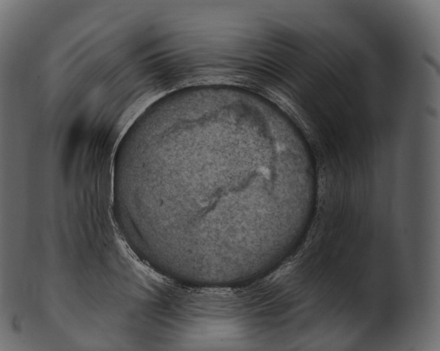 X0000100490844200807031914