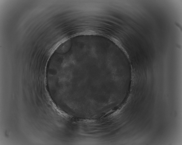 X0000100490845200807031914