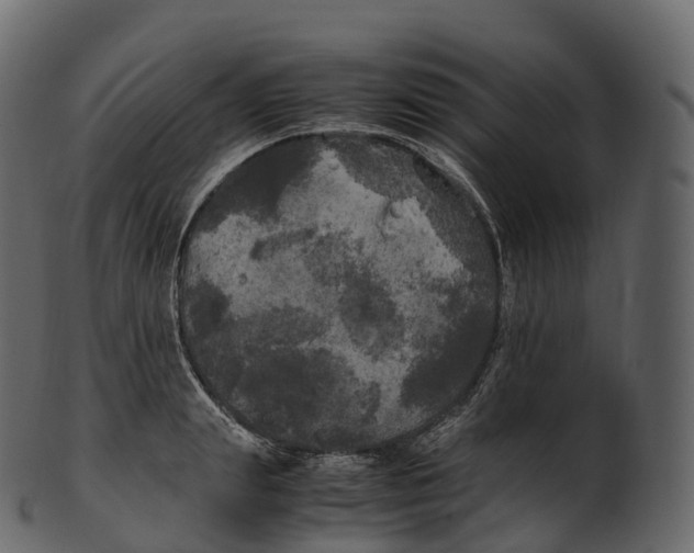 X0000100490847200807031914