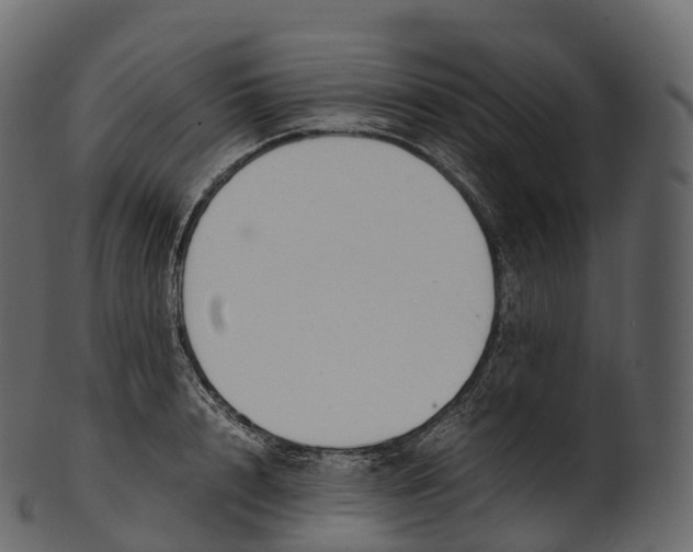 X0000100490848200807031914