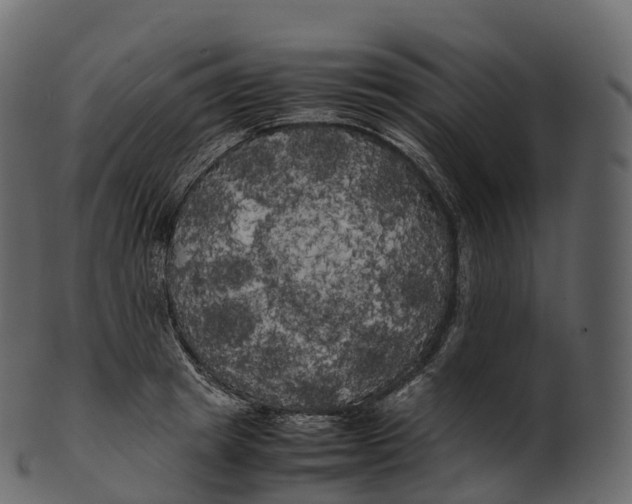 X0000100490849200807031914