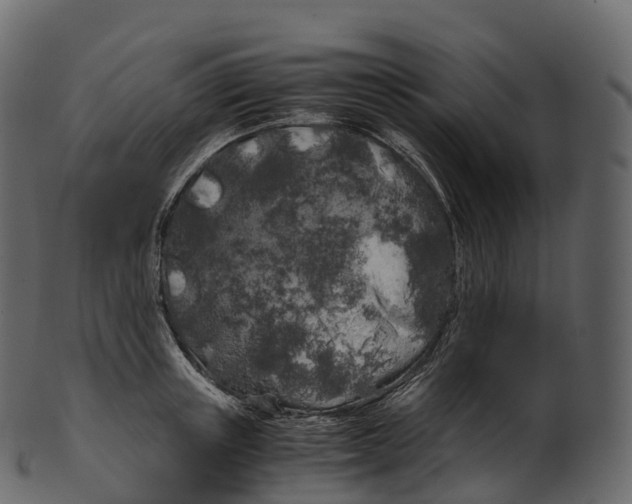 X0000100490851200807031914