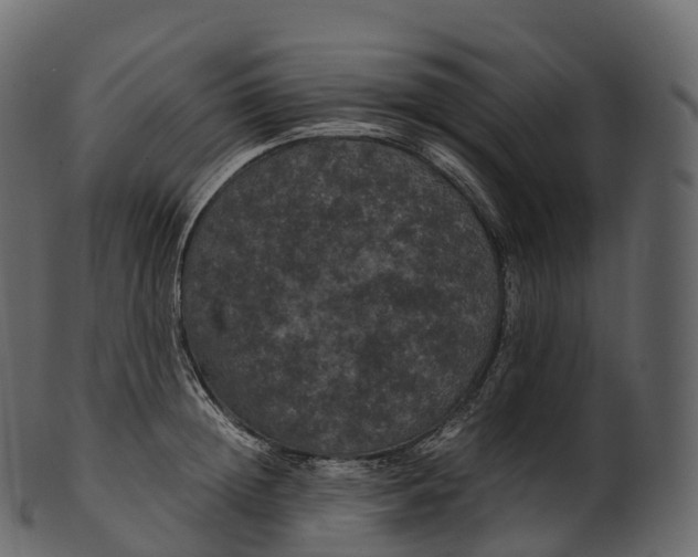 X0000100490852200807031914