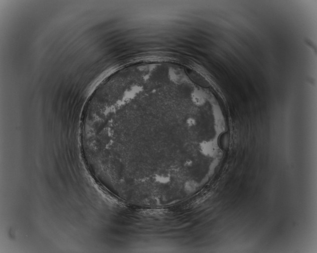 X0000100490853200807031915