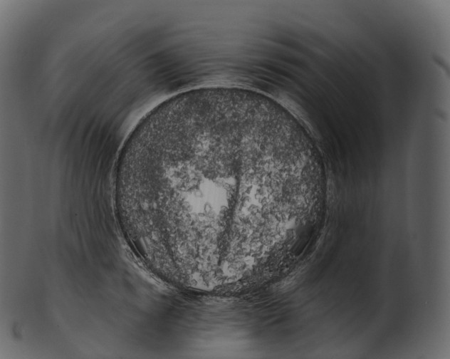 X0000100490854200807031915