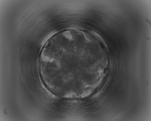 X0000100490855200807031915