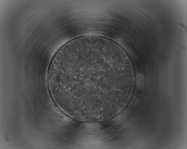 X0000100490856200807031915