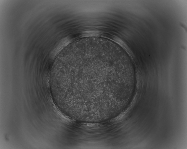 X0000100490857200807031915