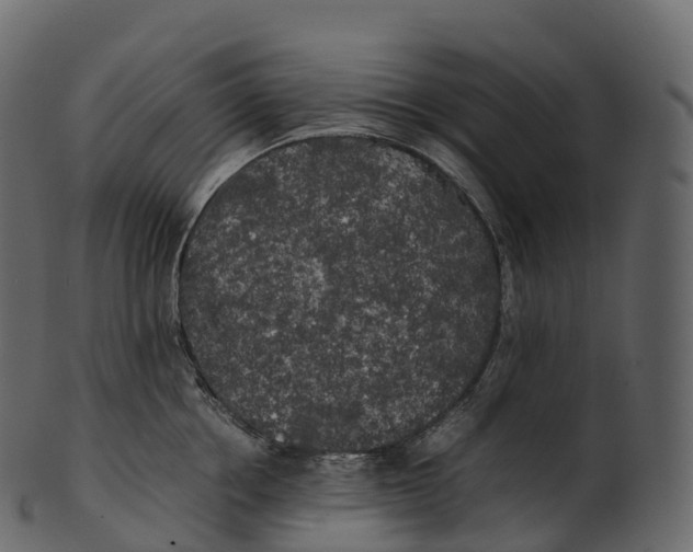 X0000100490858200807031915