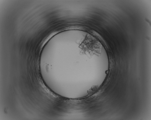 X0000100490860200807031915