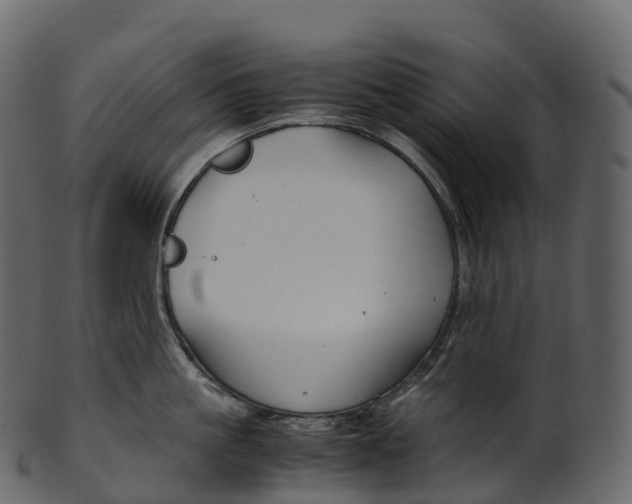 X0000100490861200807031915