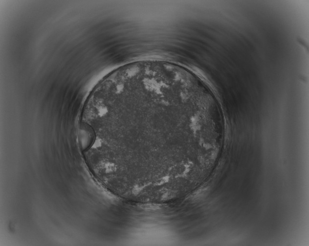 X0000100490862200807031915