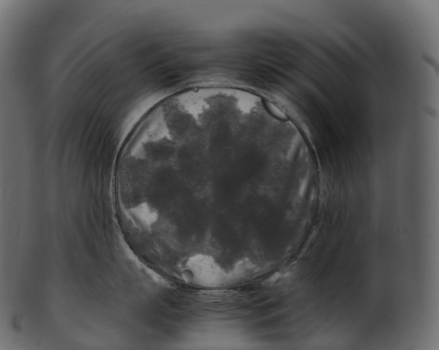 X0000100490863200807031915