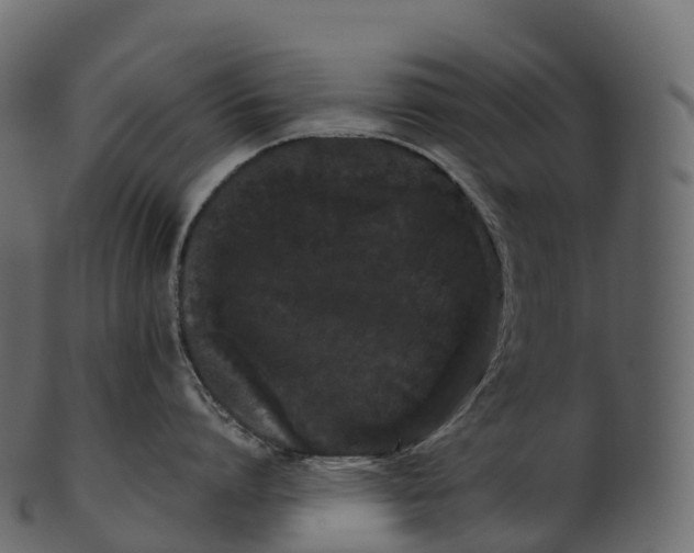 X0000100490864200807031915