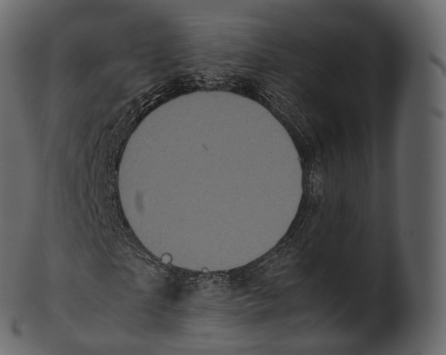 X0000100490865200807031914