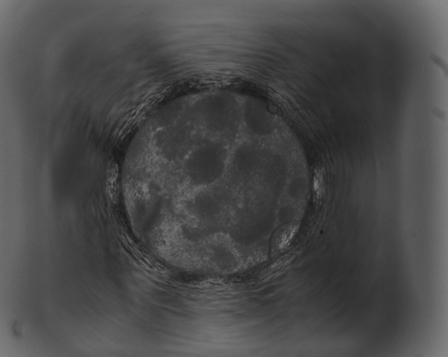 X0000100490867200807031914