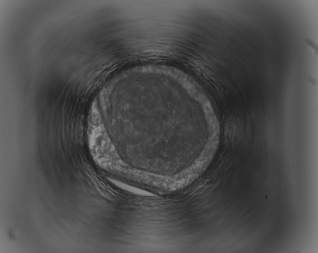 X0000100490868200807031914