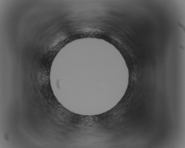 X0000100490869200807031914