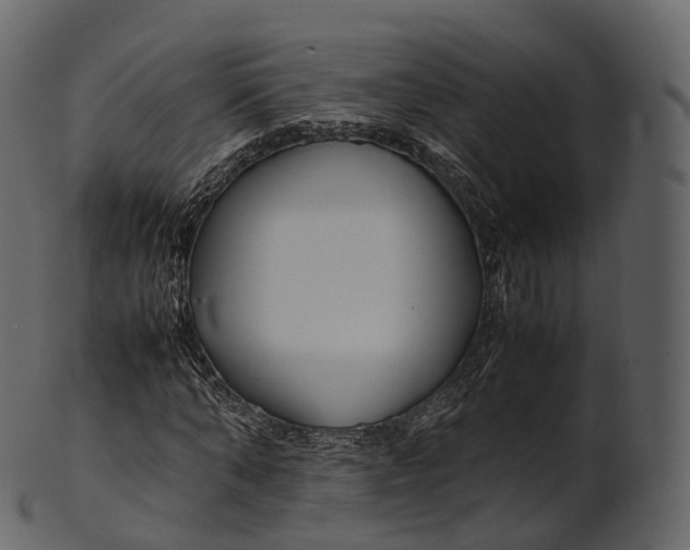 X0000100490870200807031914