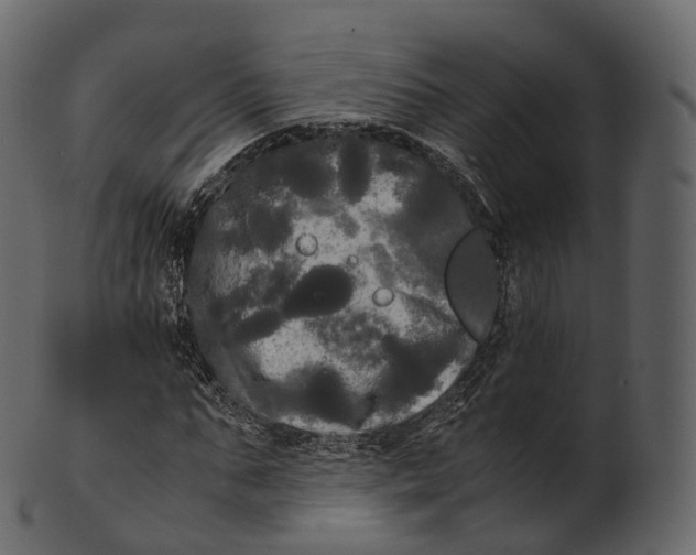 X0000100490871200807031914