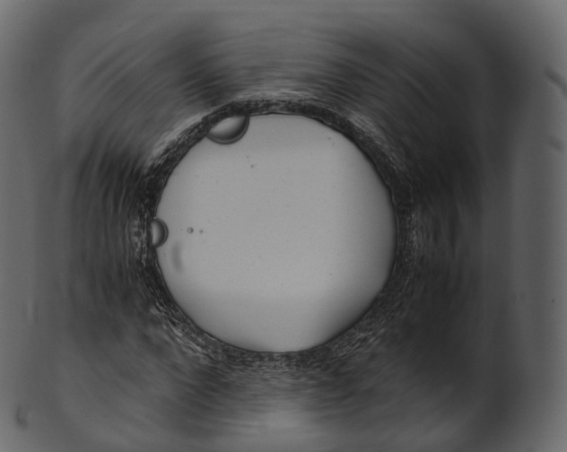 X0000100490872200807031914