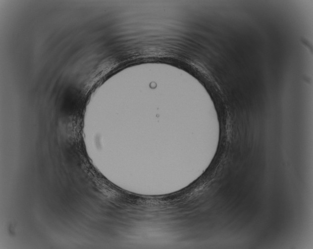 X0000100490873200807031914