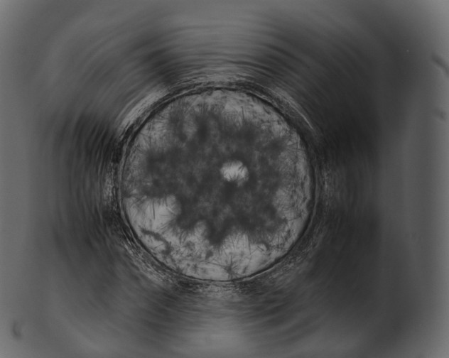 X0000100490874200807031914