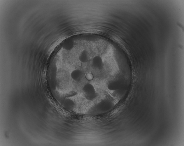 X0000100490875200807031914