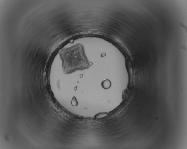 X0000100490876200807031914