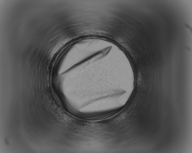 X0000100490877200807031914