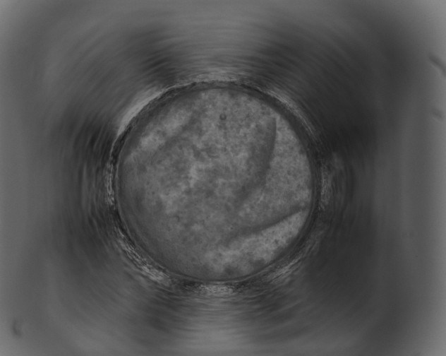 X0000100490878200807031914