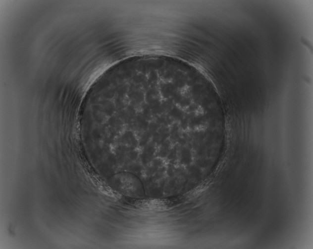 X0000100490879200807031914