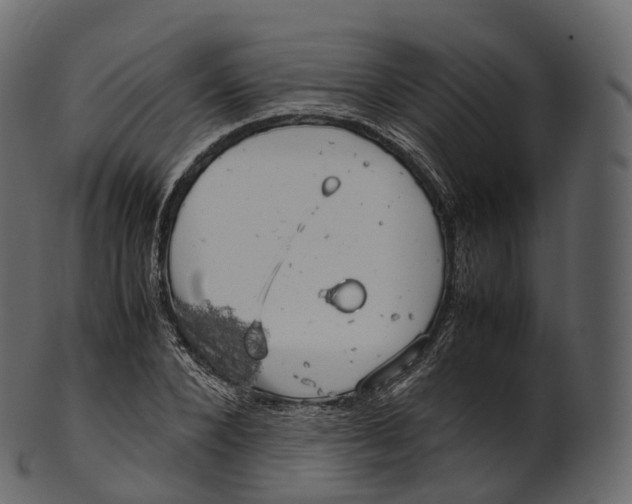 X0000100490880200807031914