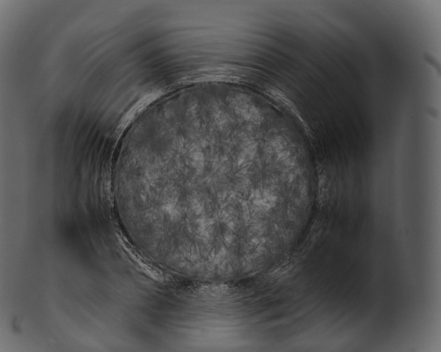 X0000100490882200807031914