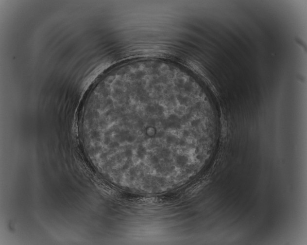 X0000100490883200807031914