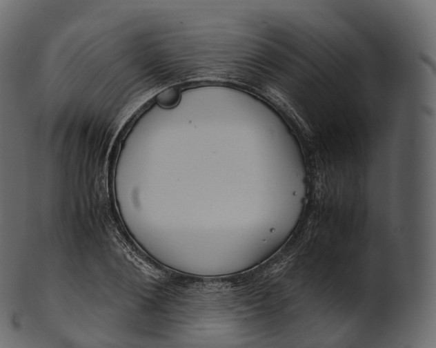 X0000100490884200807031914