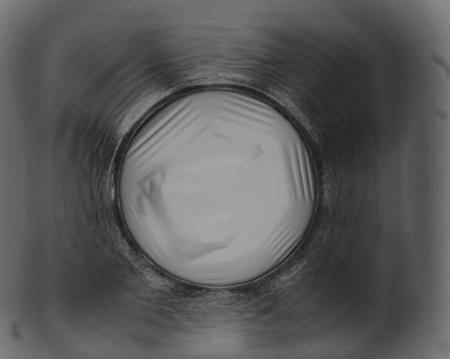 X0000100490885200807031914