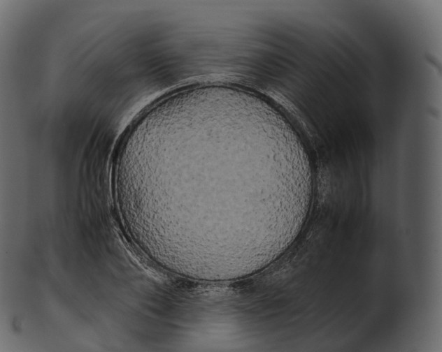 X0000100490886200807031914