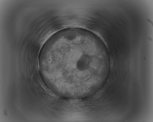 X0000100490887200807031914