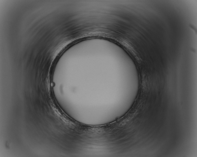 X0000100490888200807031914