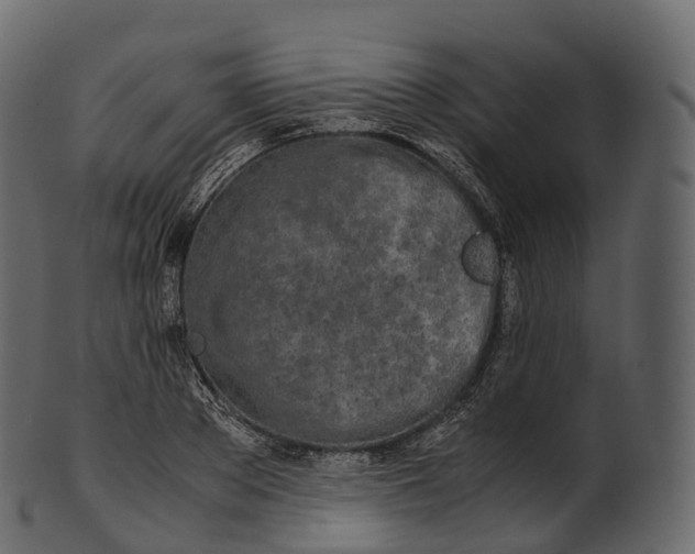 X0000100490889200807031914