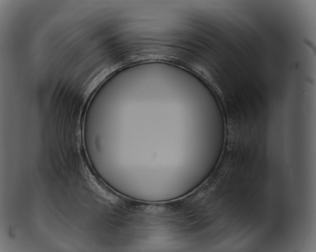 X0000100490890200807031914