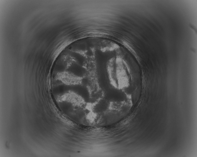 X0000100490891200807031914