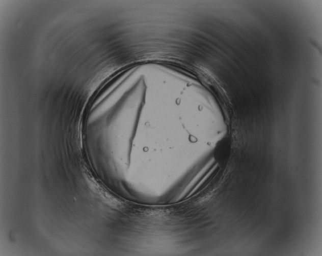 X0000100490892200807031914