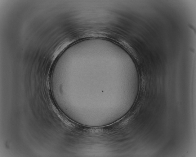 X0000100490893200807031914