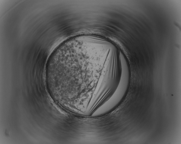 X0000100490894200807031913