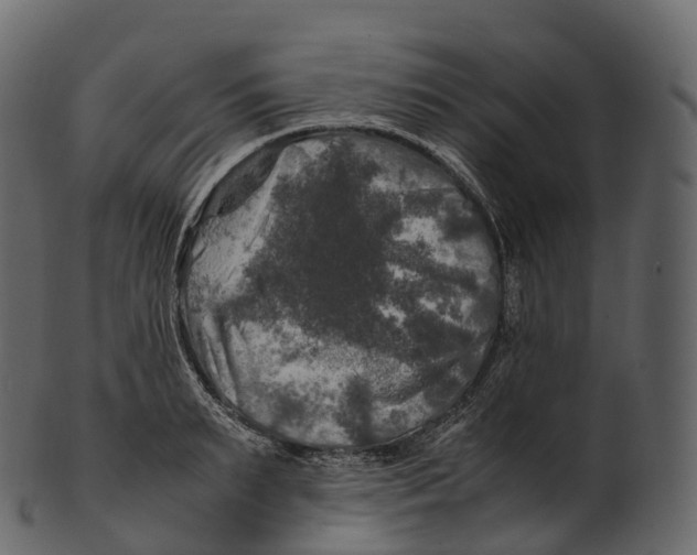 X0000100490895200807031913