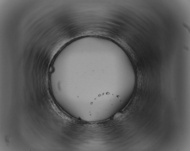 X0000100490896200807031913