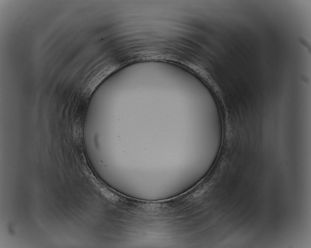 X0000100490897200807031913